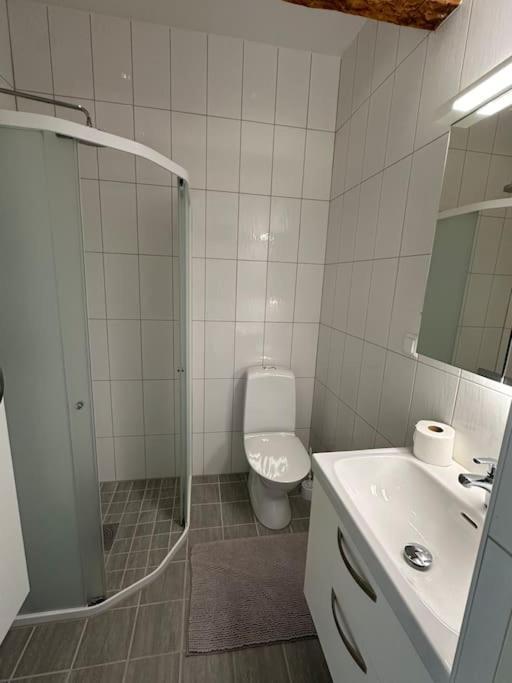Innerstan Nya Laegenheter Soedramurgatan 45B Visby Exterior foto