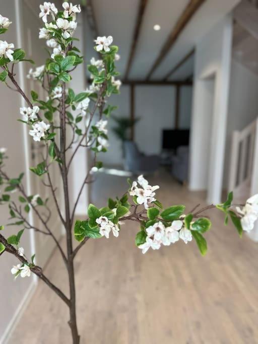 Innerstan Nya Laegenheter Soedramurgatan 45B Visby Exterior foto